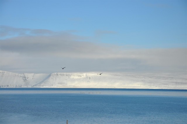 MySchool – Námsnetið